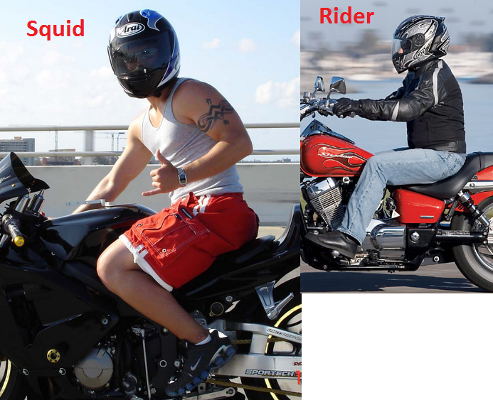 How Do You Know If Someone is a Motorcycle Squid?