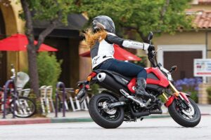 do you need a motorcycle license for a honda grom
